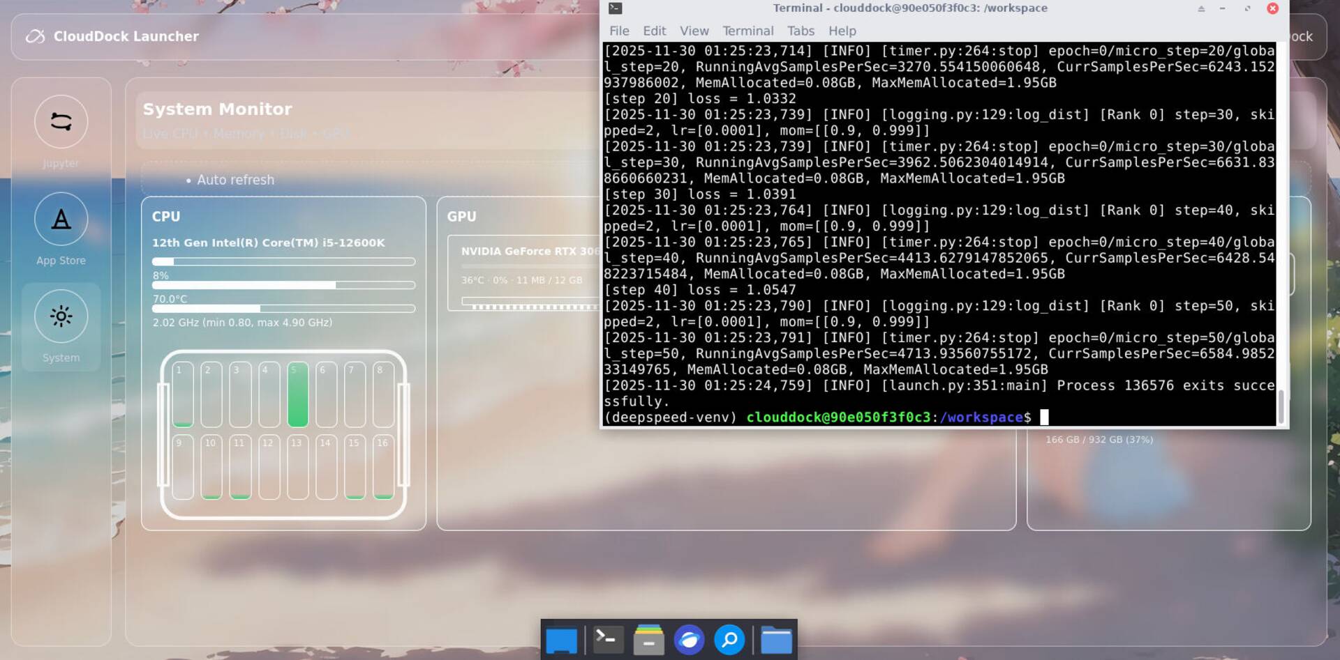 DeepSpeed CLI running inside CloudDock